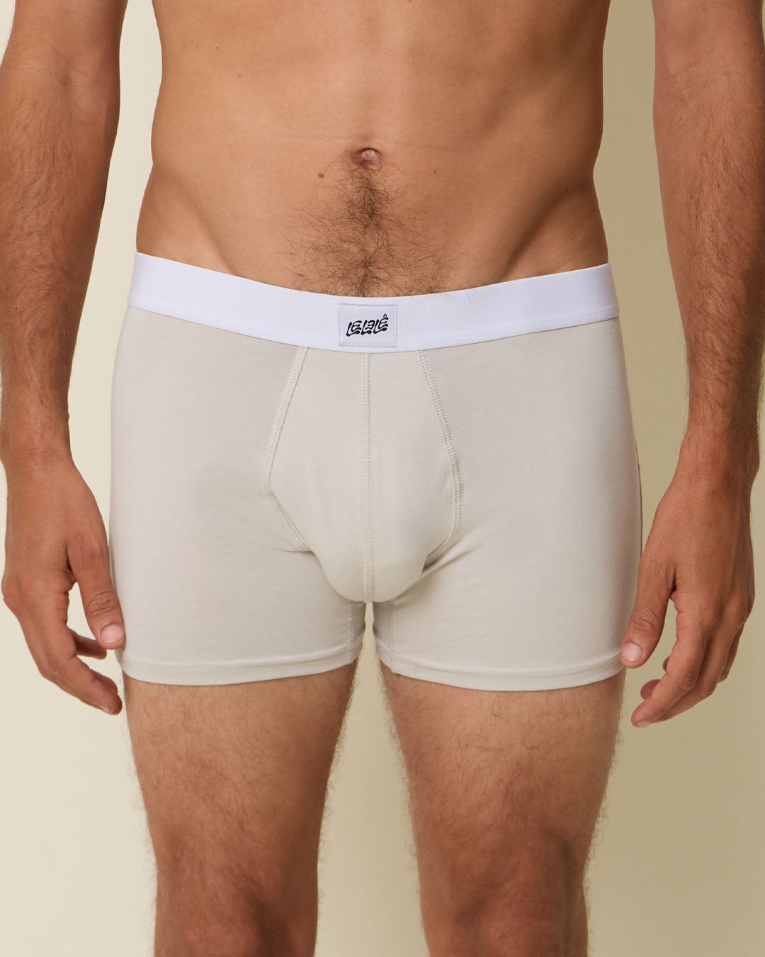 Gray Brief